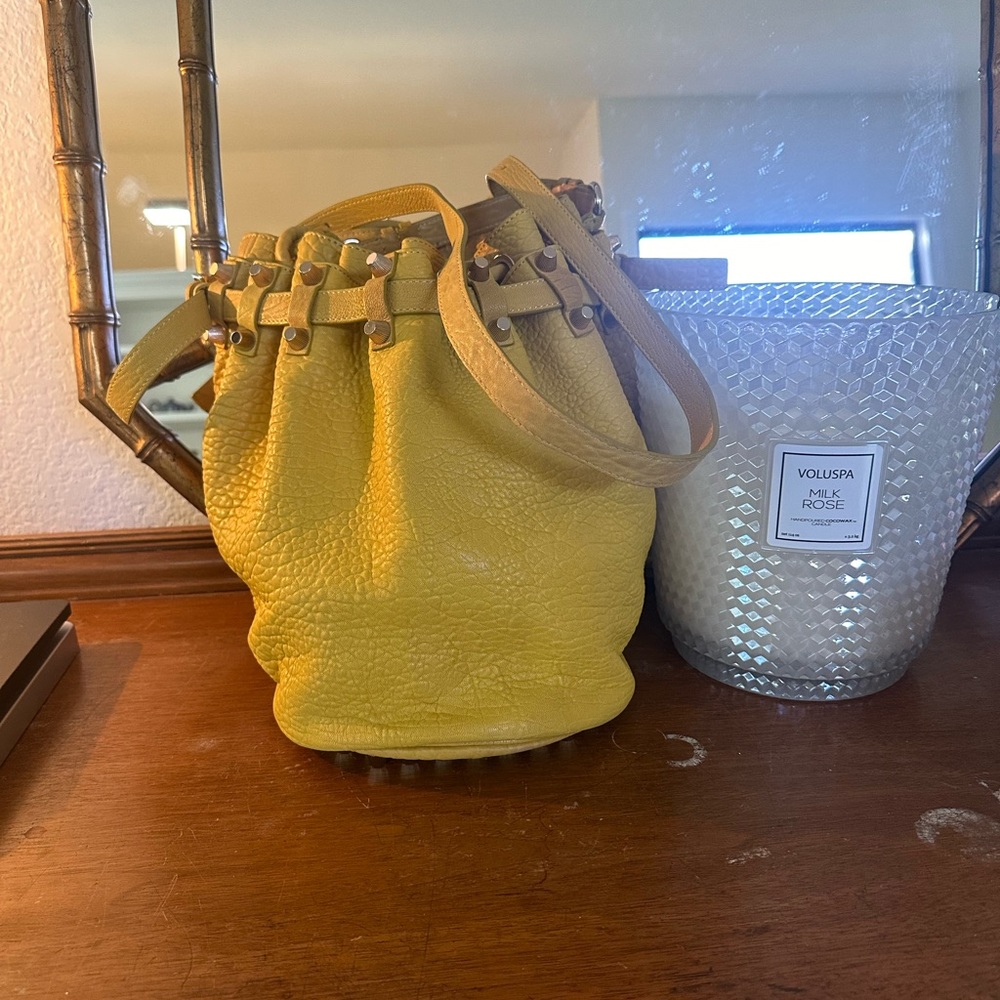Large Alexander Wang Diego bucket bag 
Thick heavy soft yummy leather w studs - Picture 4 of 15